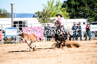 BraidwoodRodeo2016_1204