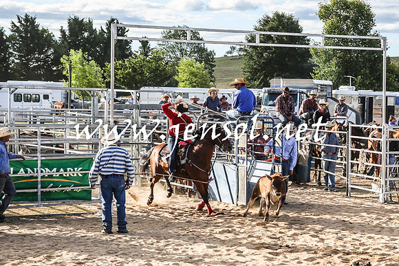BraidwoodRodeo2016_0045