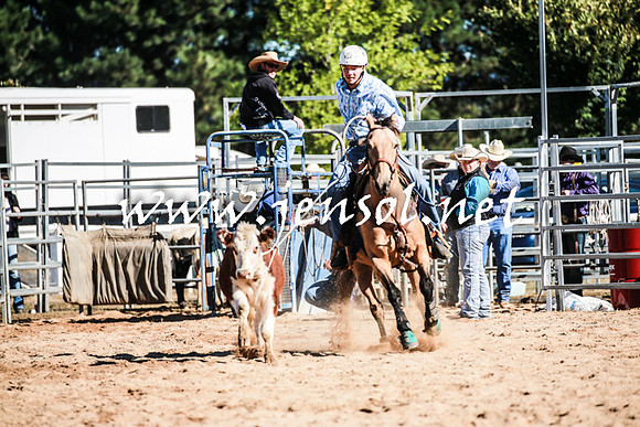 BraidwoodRodeo2016_1500