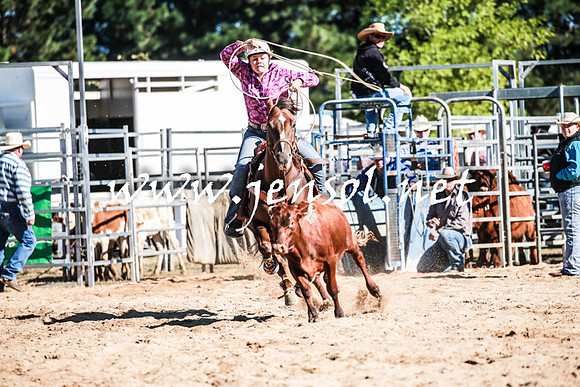BraidwoodRodeo2016_1531