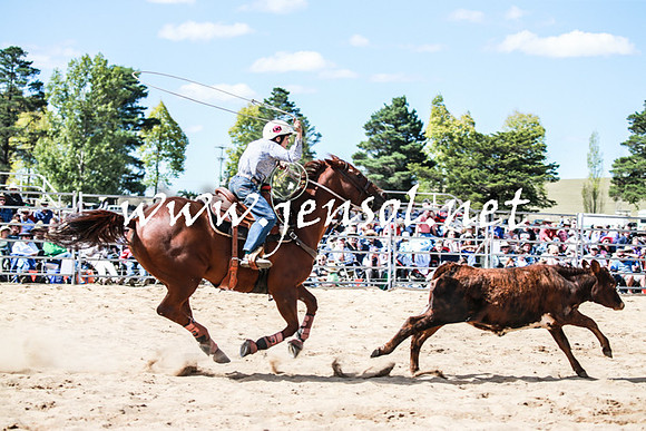 BraidwoodRodeo2016_3315