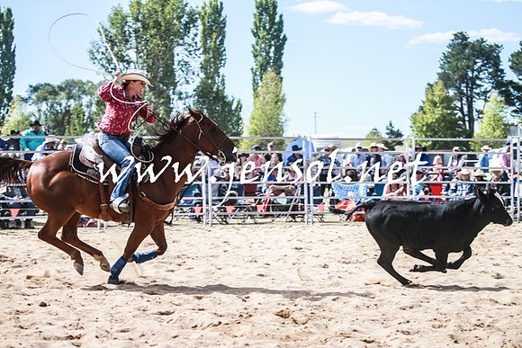 BraidwoodRodeo2016_3351
