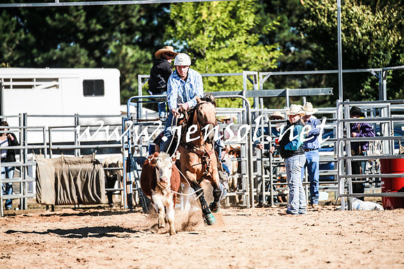 BraidwoodRodeo2016_1493