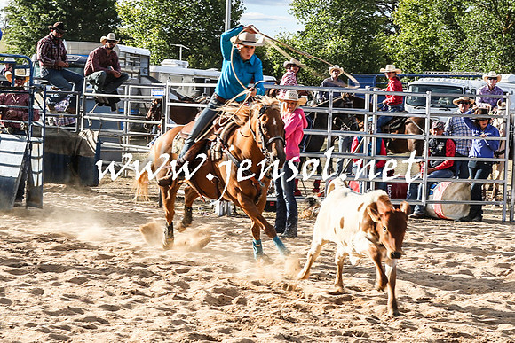 BraidwoodRodeo2016_0022
