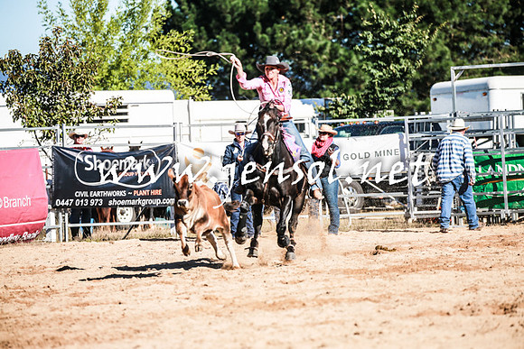 BraidwoodRodeo2016_1208