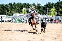 BraidwoodRodeo2016_1143