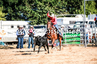 BraidwoodRodeo2016_1161