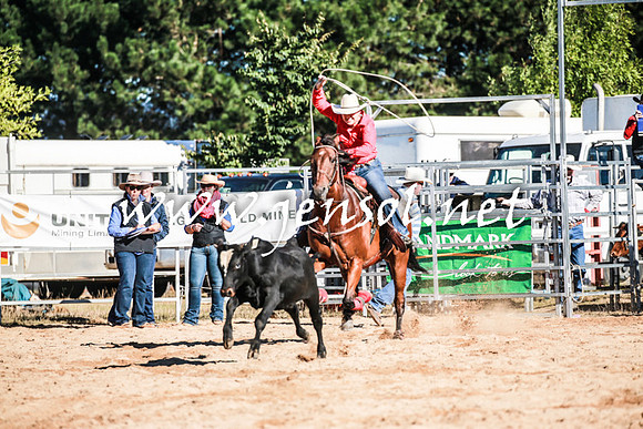 BraidwoodRodeo2016_1161