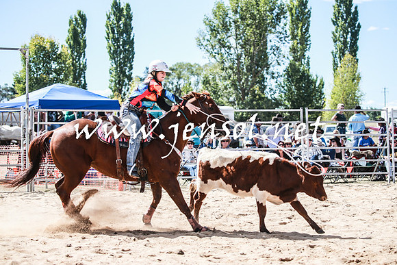 BraidwoodRodeo2016_3279