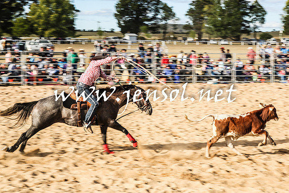 BraidwoodRodeo2016_0034