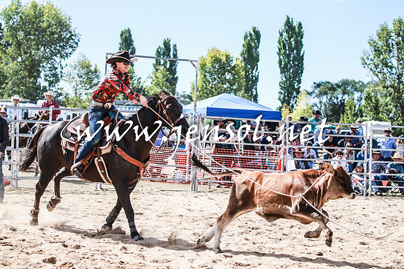 BraidwoodRodeo2016_3344
