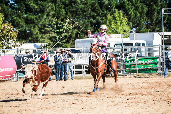 BraidwoodRodeo2016_1472