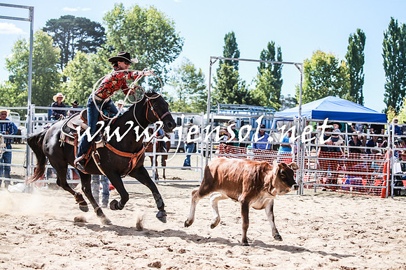 BraidwoodRodeo2016_3345