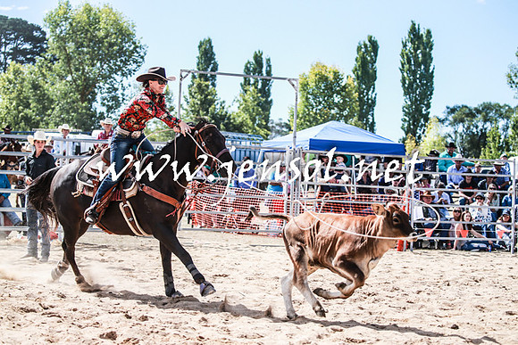 BraidwoodRodeo2016_3346