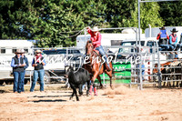 BraidwoodRodeo2016_1163