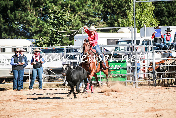 BraidwoodRodeo2016_1163