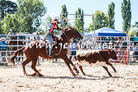 BraidwoodRodeo2016_3272