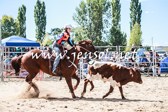 BraidwoodRodeo2016_3276
