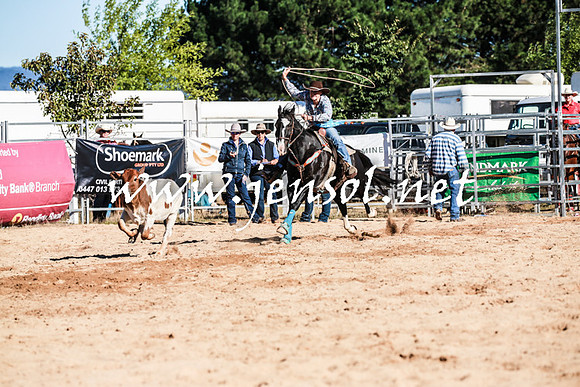 BraidwoodRodeo2016_1210