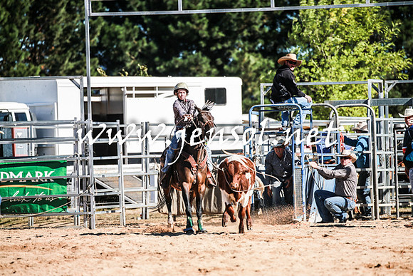 BraidwoodRodeo2016_1506