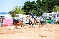 BraidwoodRodeo2016_1192