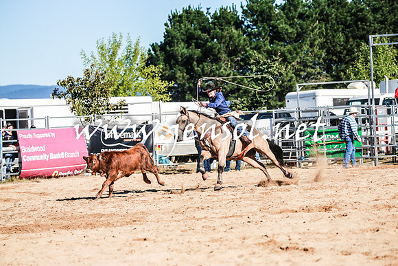 BraidwoodRodeo2016_1192