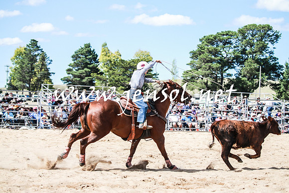 BraidwoodRodeo2016_3322