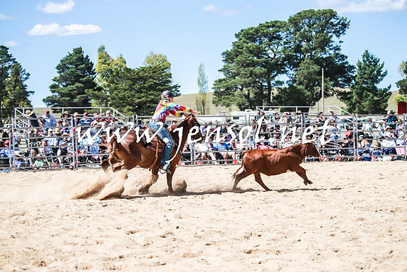 BraidwoodRodeo2016_3293