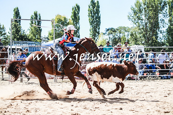BraidwoodRodeo2016_3281