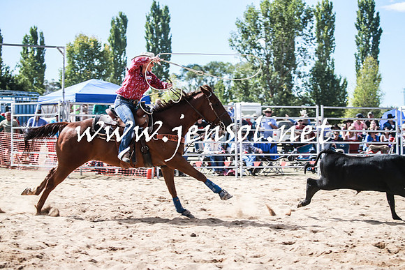 BraidwoodRodeo2016_3350