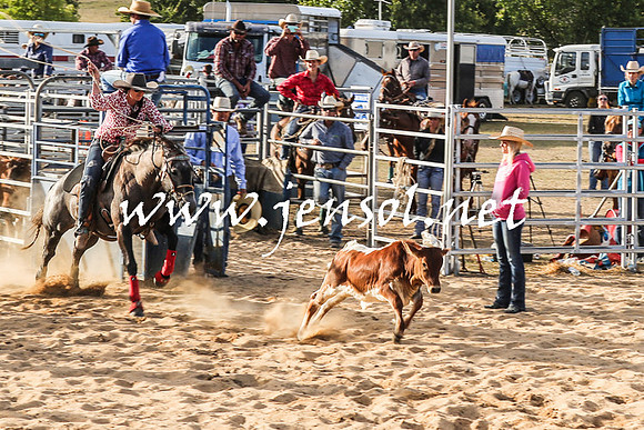 BraidwoodRodeo2016_0026
