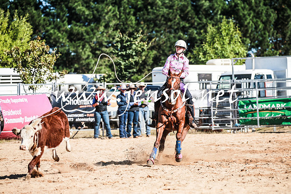 BraidwoodRodeo2016_1462