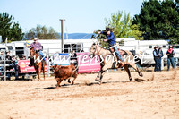 BraidwoodRodeo2016_1186