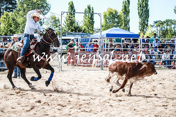 BraidwoodRodeo2016_3365