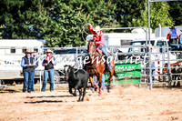 BraidwoodRodeo2016_1162
