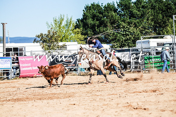 BraidwoodRodeo2016_1194