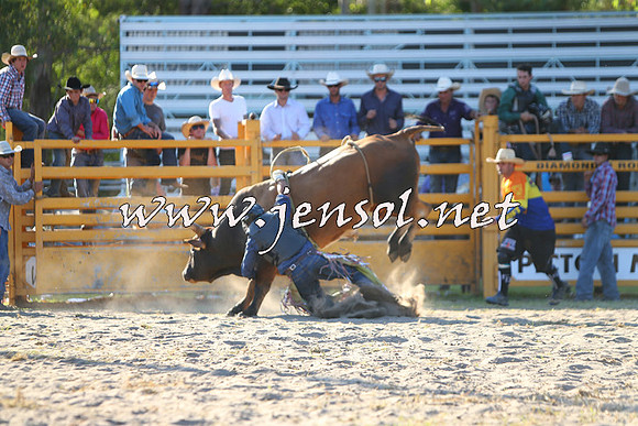PictonRodeo2015_2164