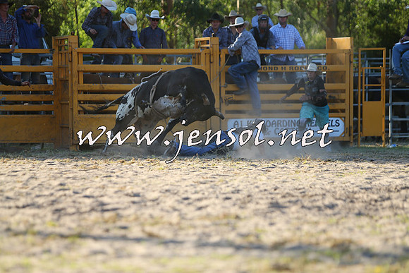 PictonRodeo2015_2044