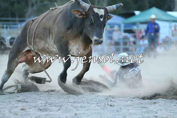 PictonRodeo2015_2540
