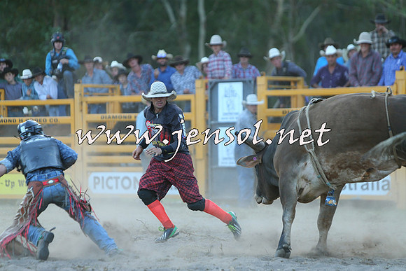 PictonRodeo2015_2532