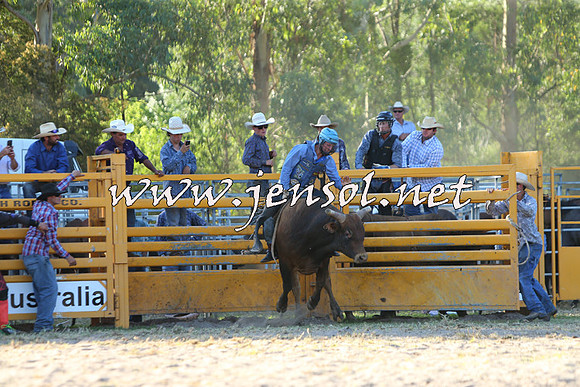 PictonRodeo2015_2065