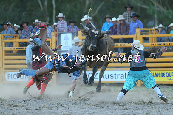 PictonRodeo2015_2509