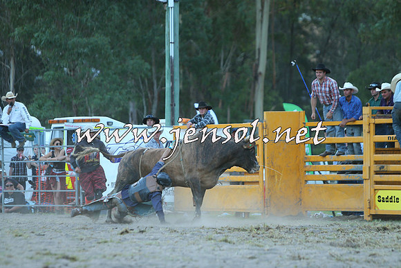 PictonRodeo2015_2635