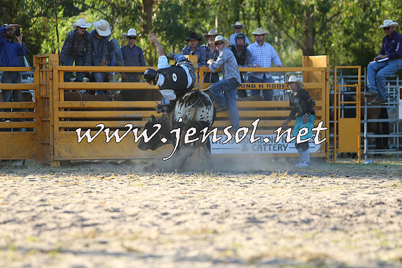 PictonRodeo2015_2052