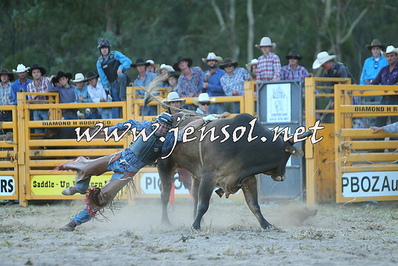PictonRodeo2015_2495