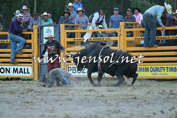 PictonRodeo2015_2810