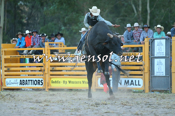 PictonRodeo2015_2736