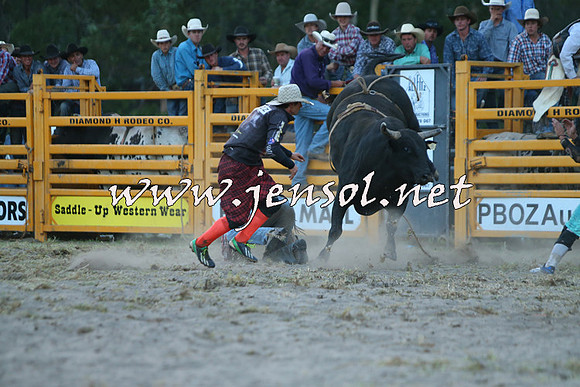 PictonRodeo2015_2829