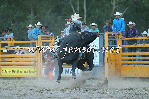 PictonRodeo2015_2773