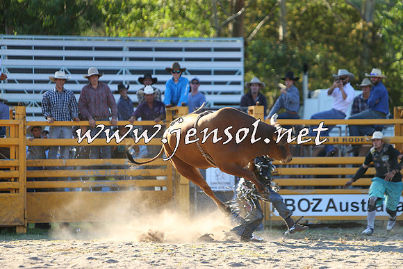 PictonRodeo2015_2137